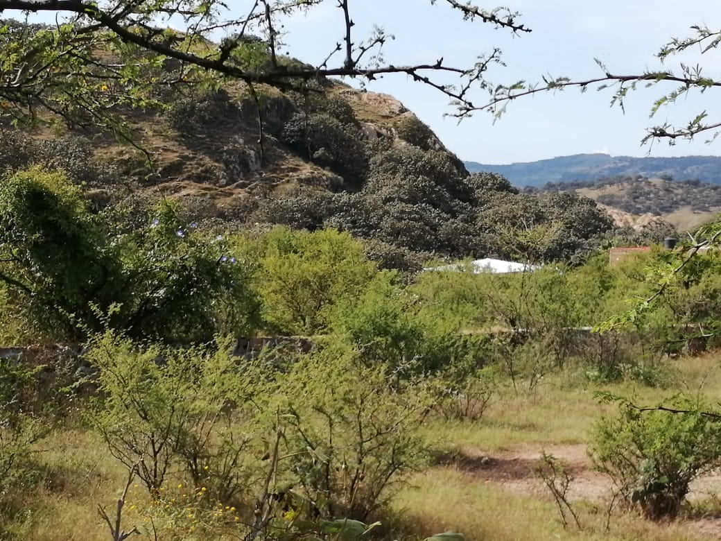 Terreno en Venta  en San Francisco Tesistán, Zapopan - foto 2 de 4