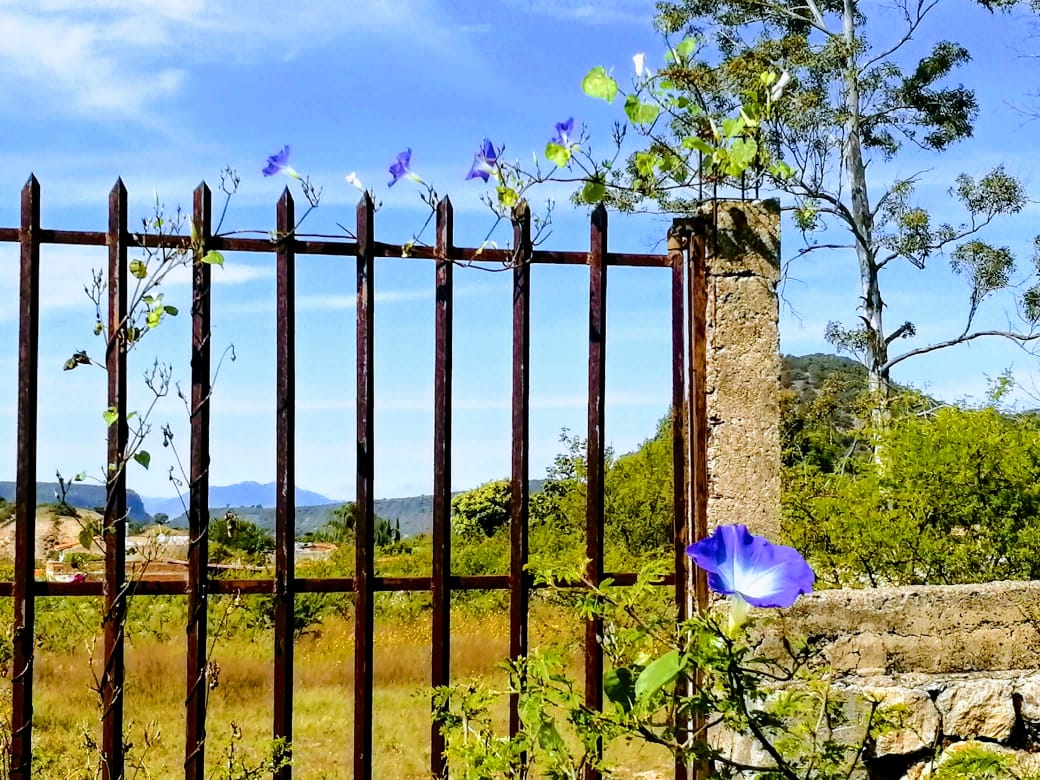 Terreno en Venta 