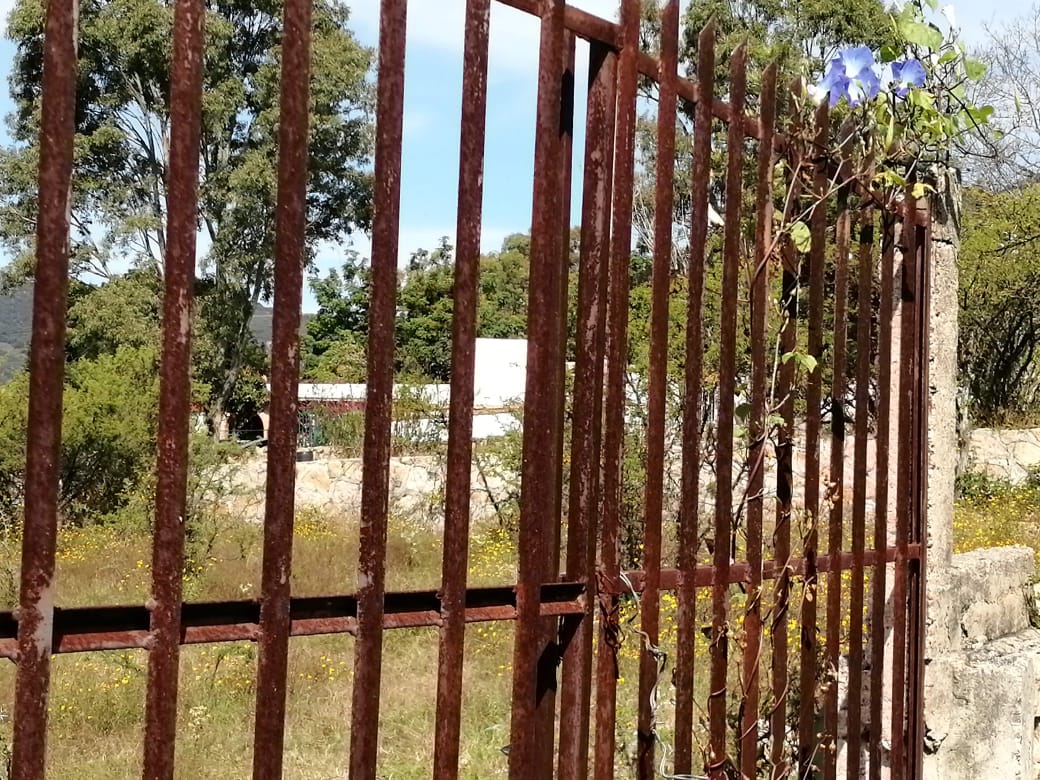 Terreno en Venta  en San Francisco Tesistán, Zapopan - foto 3 de 4