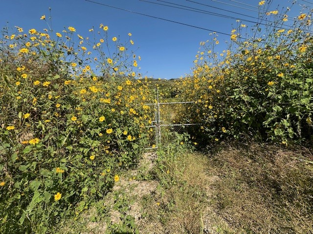 Terreno en Venta Chapala en Arroyo Hondo, Chapala - foto 3 de 10