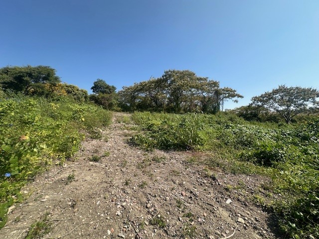 Terreno en Venta Chapala en Arroyo Hondo, Chapala - foto 4 de 10