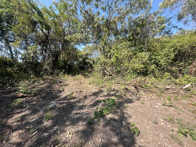 Terreno en Venta Chapala en Arroyo Hondo, Chapala - foto 8 de 10