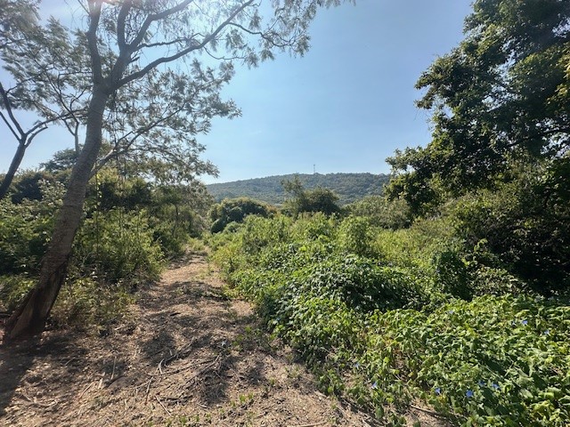 Terreno en Venta Chapala en Arroyo Hondo, Chapala - foto 7 de 10