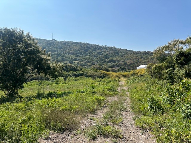 Terreno en Venta Chapala en Arroyo Hondo, Chapala - foto 5 de 10