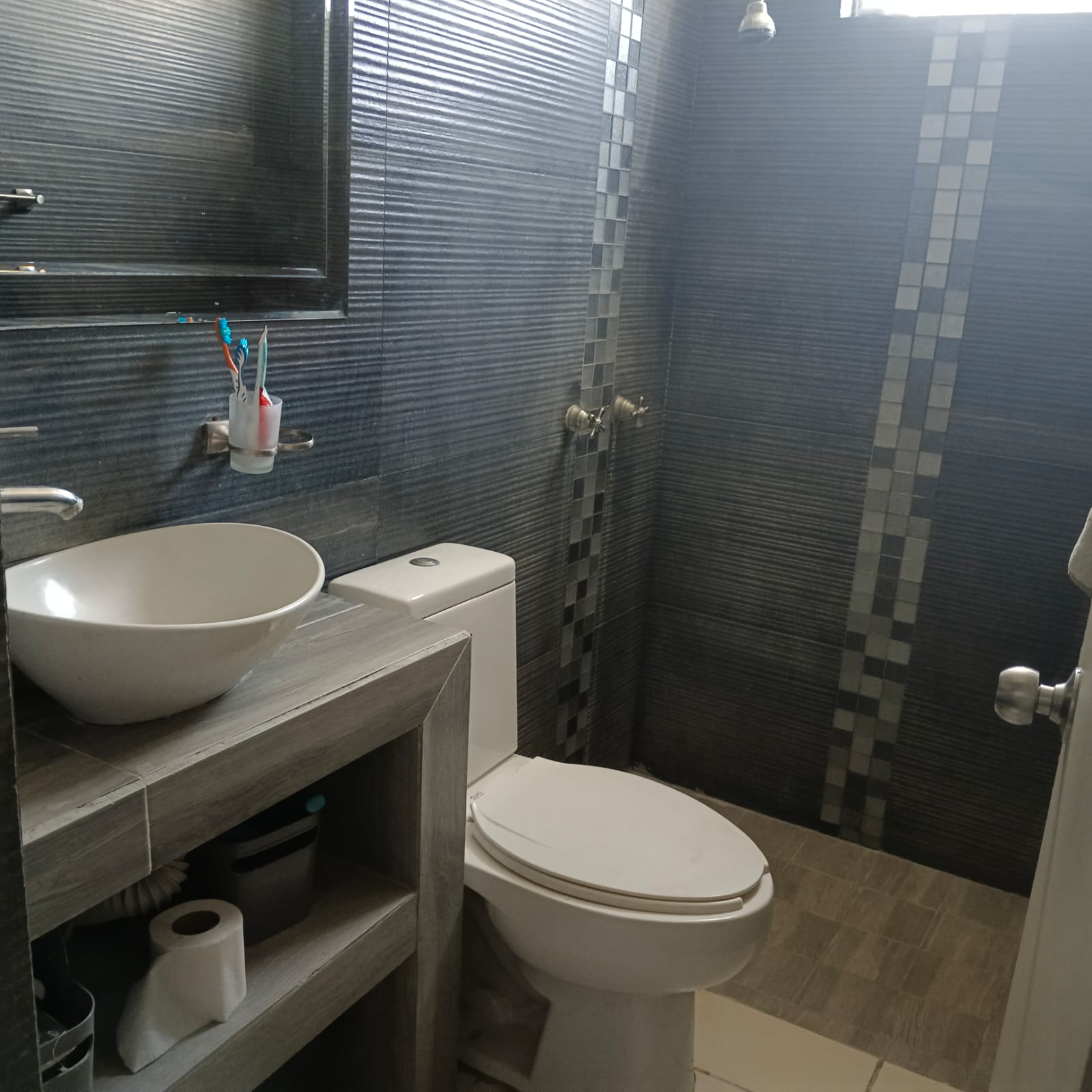 Casa en Venta  en SAN MIGUEL RESIDENCIAL, Tlajomulco de Zúñiga - foto 9 de 46