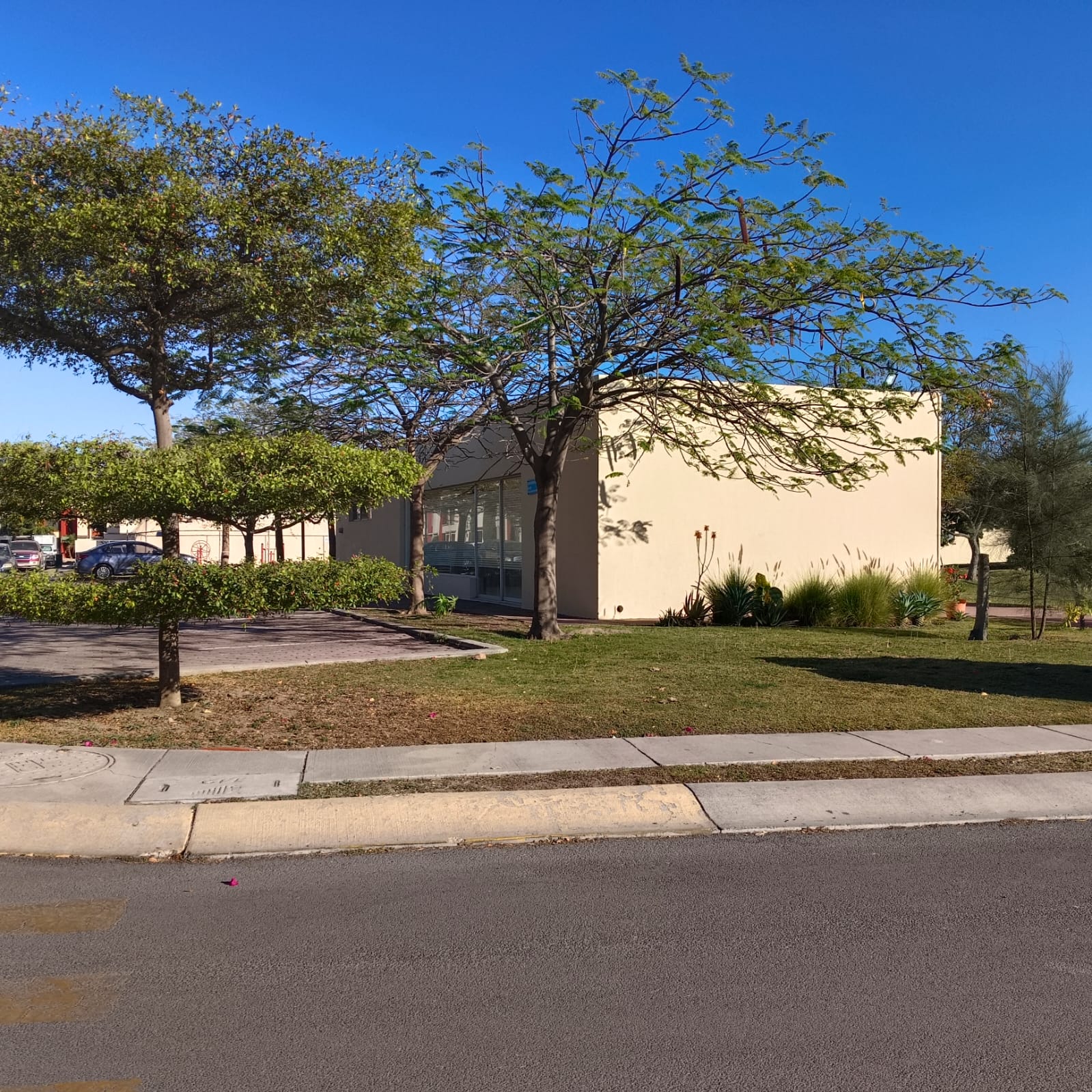 Casa en Venta  en SAN MIGUEL RESIDENCIAL, Tlajomulco de Zúñiga - foto 26 de 46