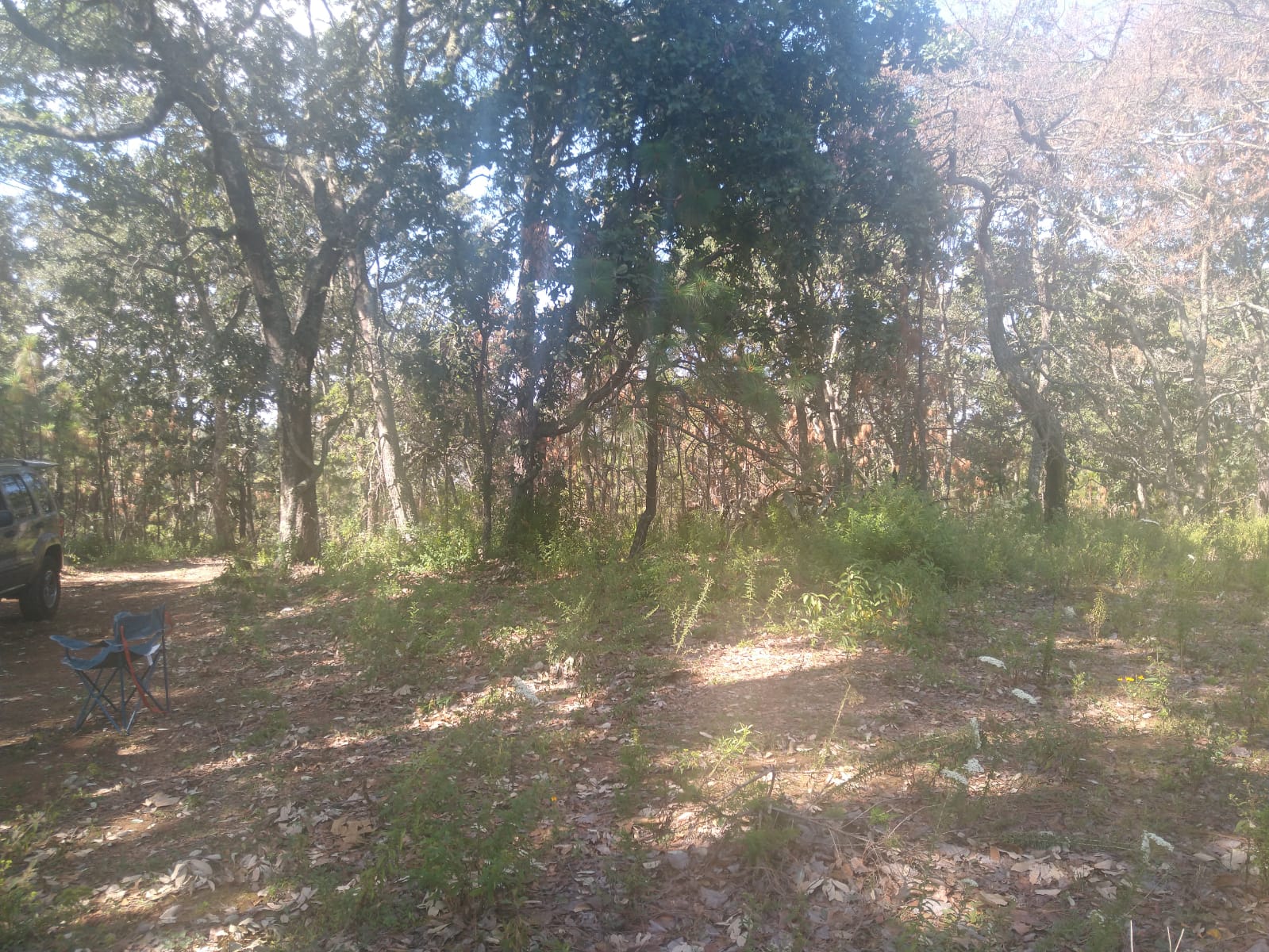 TERRENO EN VENTA  en Atemajac de Brizuela, Atemajac de Brizuela - foto 24 de 25