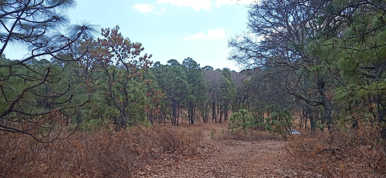 TERRENO EN VENTA  en Atemajac de Brizuela, Atemajac de Brizuela - foto 11 de 25