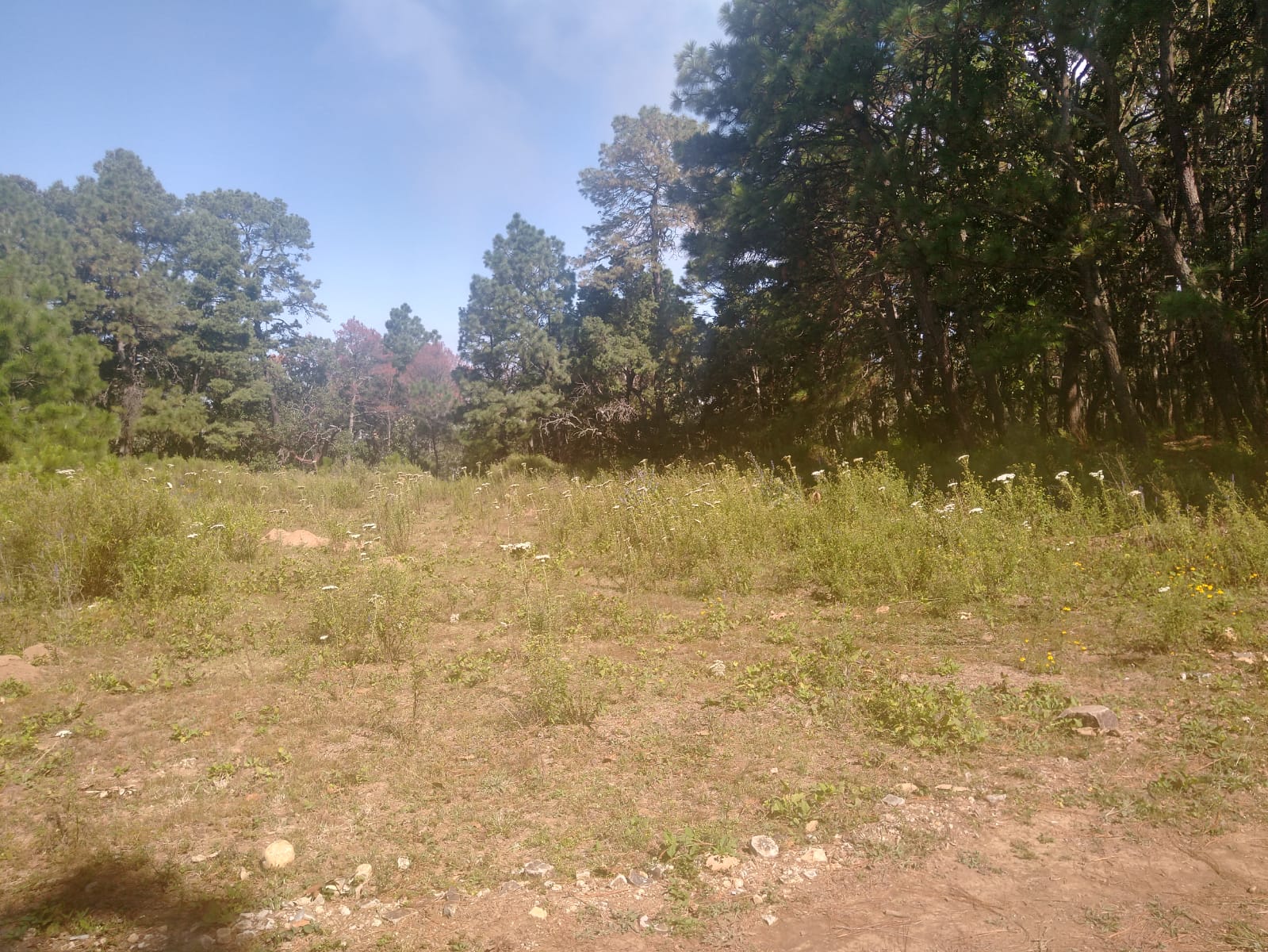 TERRENO EN VENTA  en Atemajac de Brizuela, Atemajac de Brizuela - foto 15 de 25
