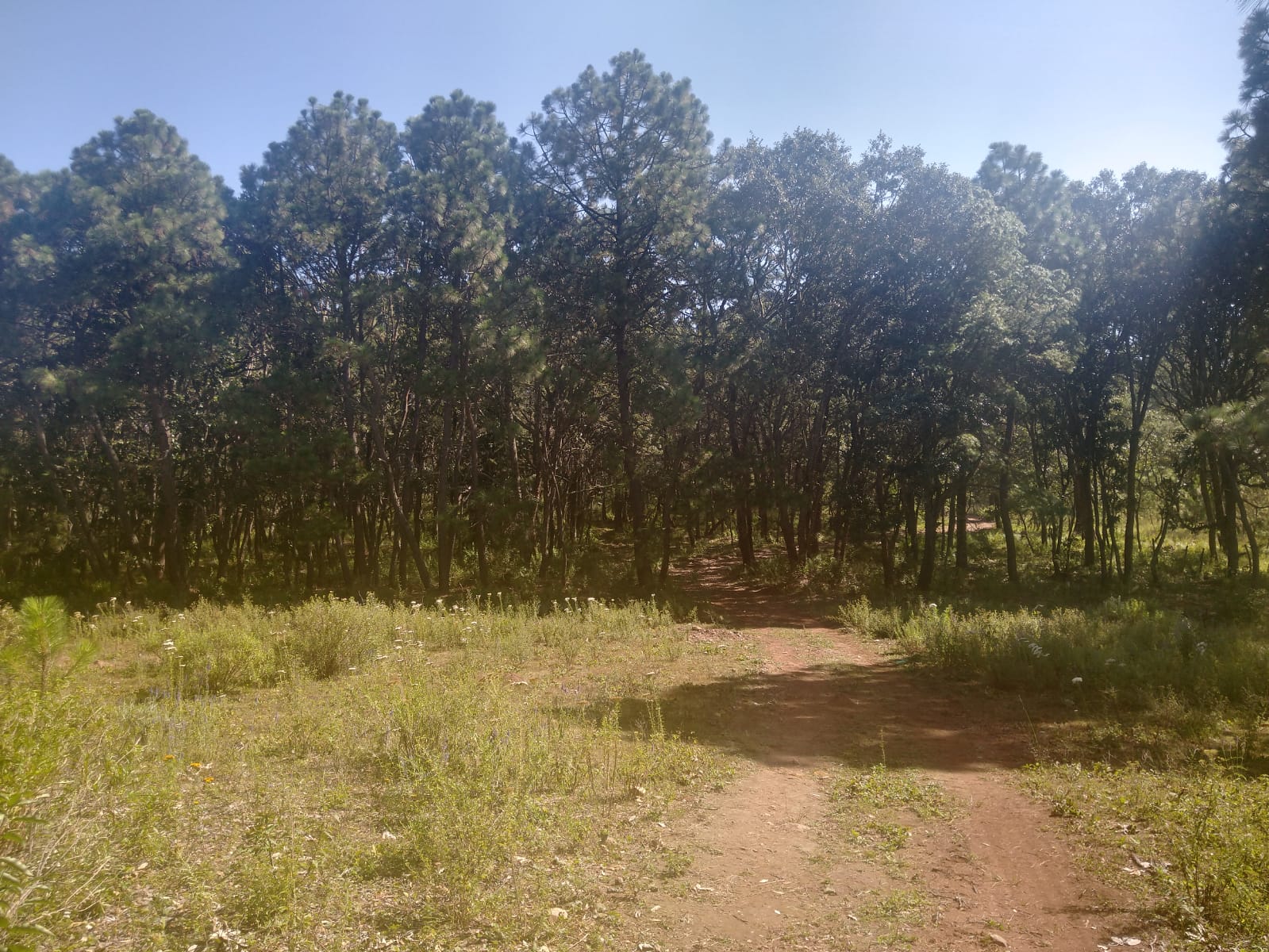 TERRENO EN VENTA  en Atemajac de Brizuela, Atemajac de Brizuela - foto 21 de 25