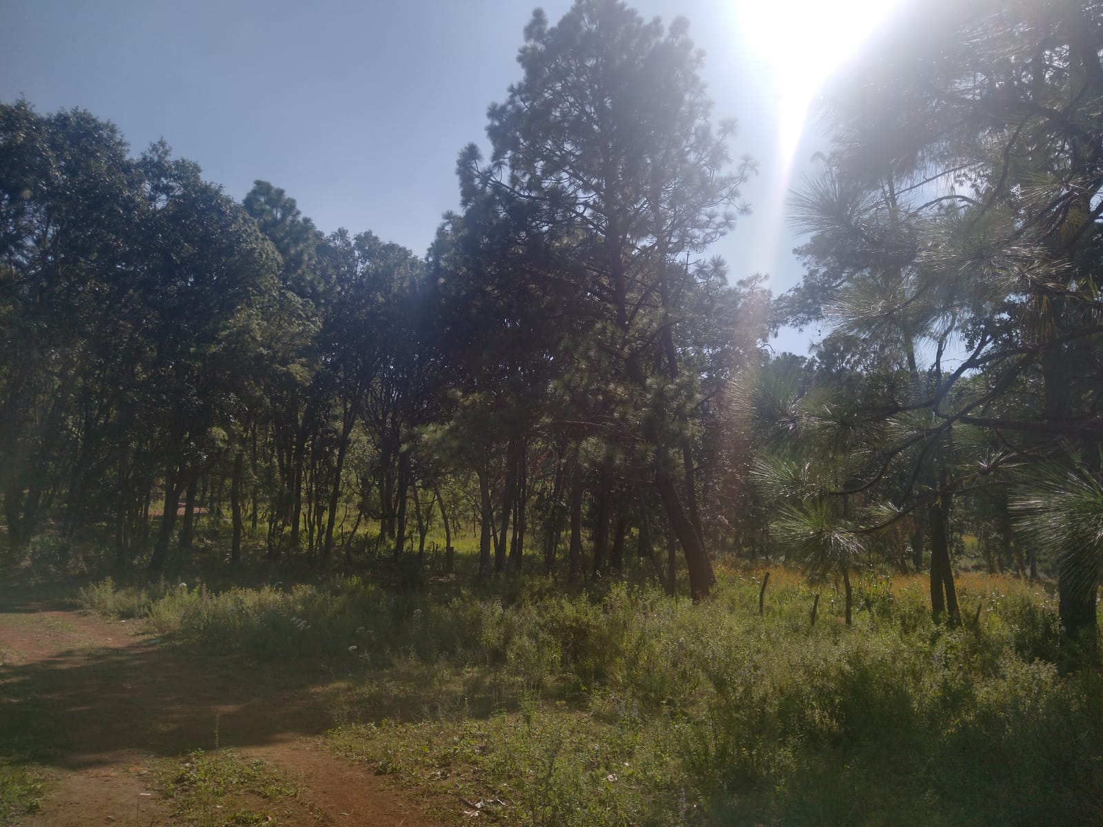 TERRENO EN VENTA  en Atemajac de Brizuela, Atemajac de Brizuela - foto 4 de 25