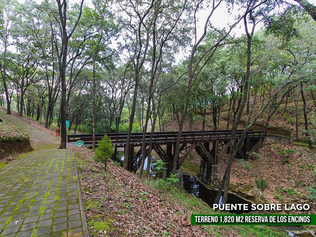 Terreno en Venta en Teuchitlán, Teuchitlán - foto 3 de 17
