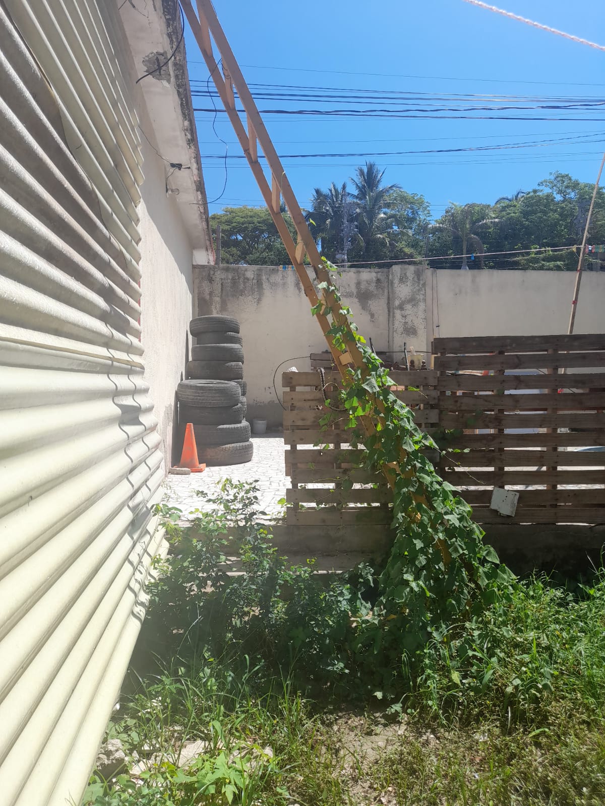 Terreno Bucerías en Dorada, Bahía de Banderas - foto 7 de 10