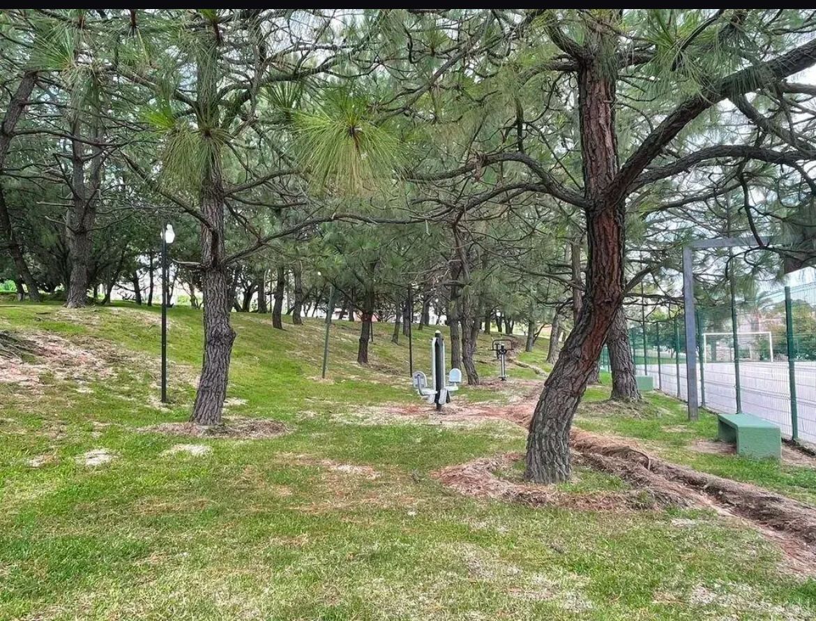 Terreno en VENTA en El Cortijo, Tlajomulco de Zúñiga - foto 8 de 9