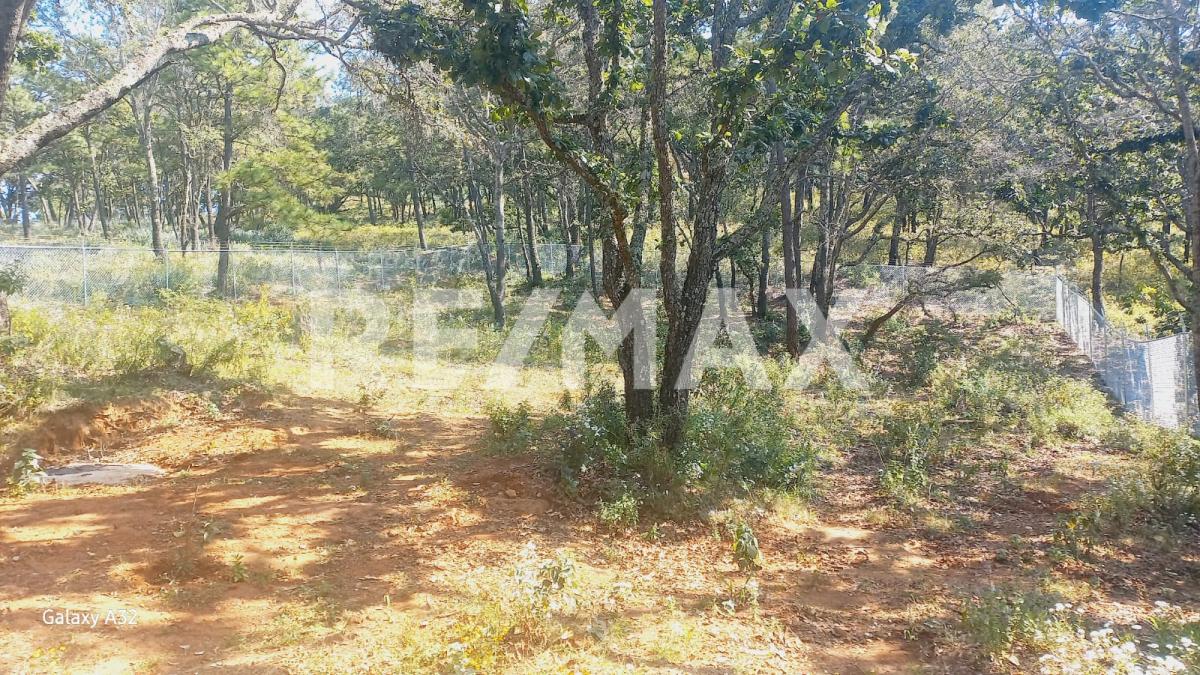 Casa en Venta en Yolosta en Atemajac de Brizuela, Atemajac de Brizuela - foto 17 de 17