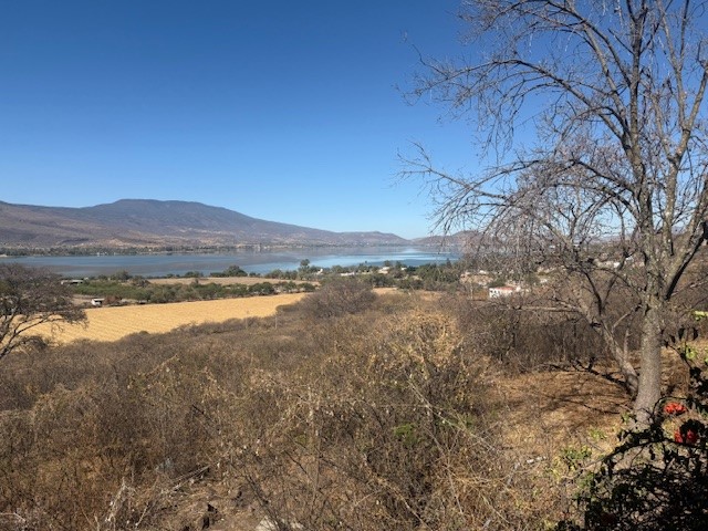 Terreno en venta Cajititlán con vista a la laguna  en Cajititlán, Tlajomulco de Zúñiga - foto 9 de 10