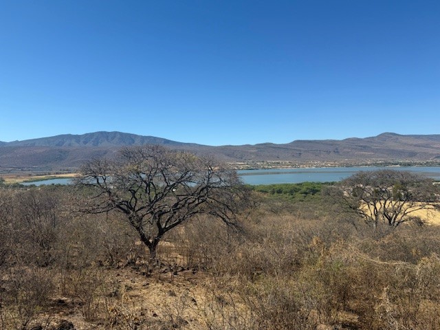 Terreno en venta Cajititlán con vista a la laguna  en Cajititlán, Tlajomulco de Zúñiga - foto 10 de 10