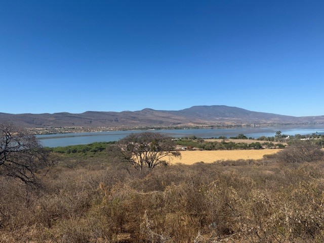 Terreno en venta Cajititlán con vista a la laguna  en Cajititlán, Tlajomulco de Zúñiga - foto 5 de 10