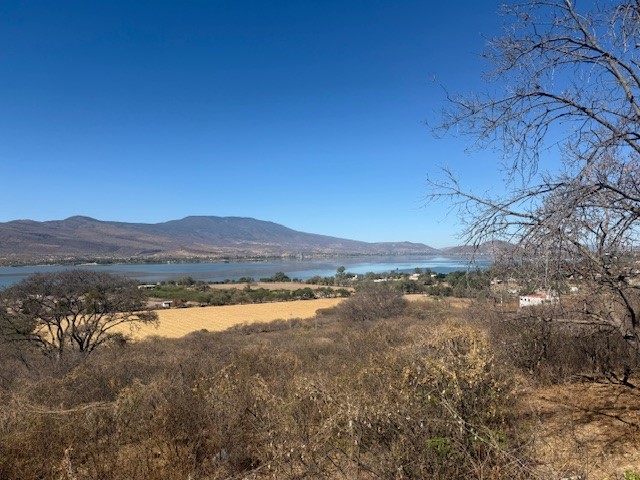Terreno en venta Cajititlán con vista a la laguna  en Cajititlán, Tlajomulco de Zúñiga - foto 4 de 10