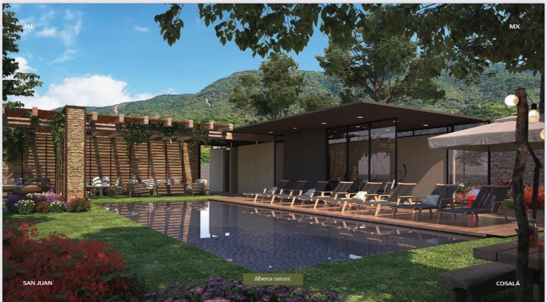 Terreno en Venta en San Juan Cosalá, Jocotepec - foto 5 de 12
