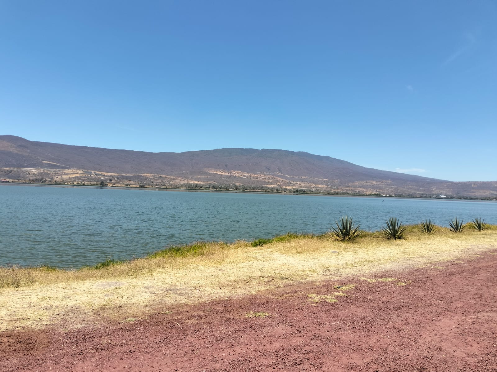 TERRENO EN VENTA  en Cajititlán, Tlajomulco de Zúñiga - foto 15 de 23