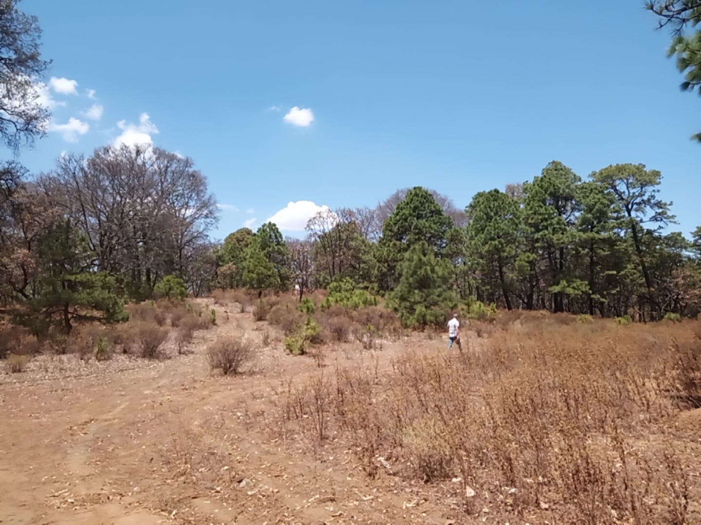 Terreno en Venta en Atemajac de Brizuela, Atemajac de Brizuela - foto 12 de 27