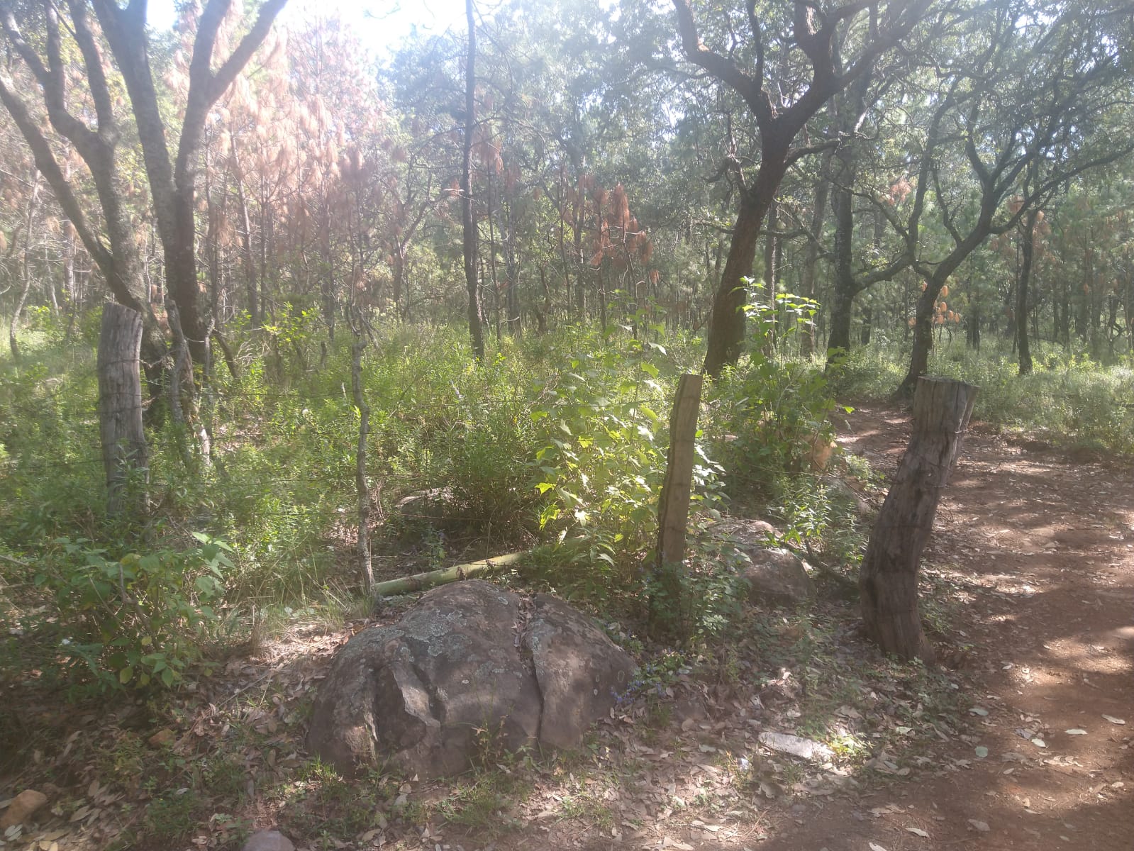 Terreno en Venta en Atemajac de Brizuela, Atemajac de Brizuela - foto 27 de 27
