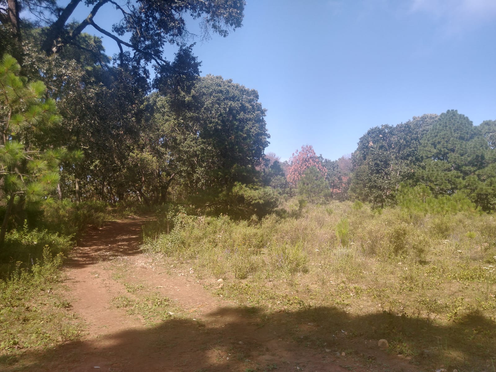 Terreno en Venta en Atemajac de Brizuela, Atemajac de Brizuela - foto 2 de 27