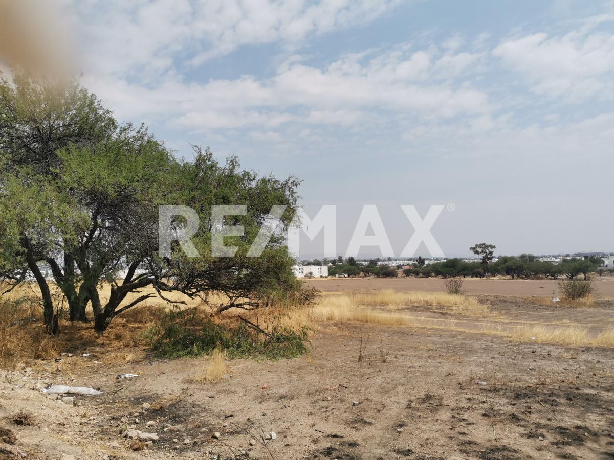 LAND FOR SALE, INVESTMENT