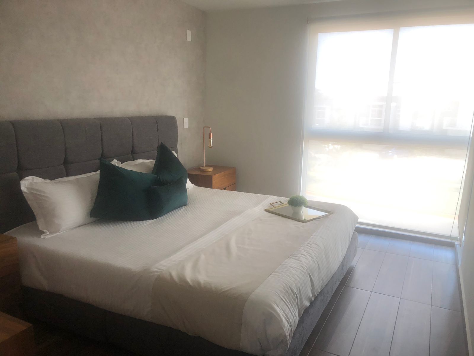 Casa en Venta  en Nuevo México, Zapopan - foto 4 de 23