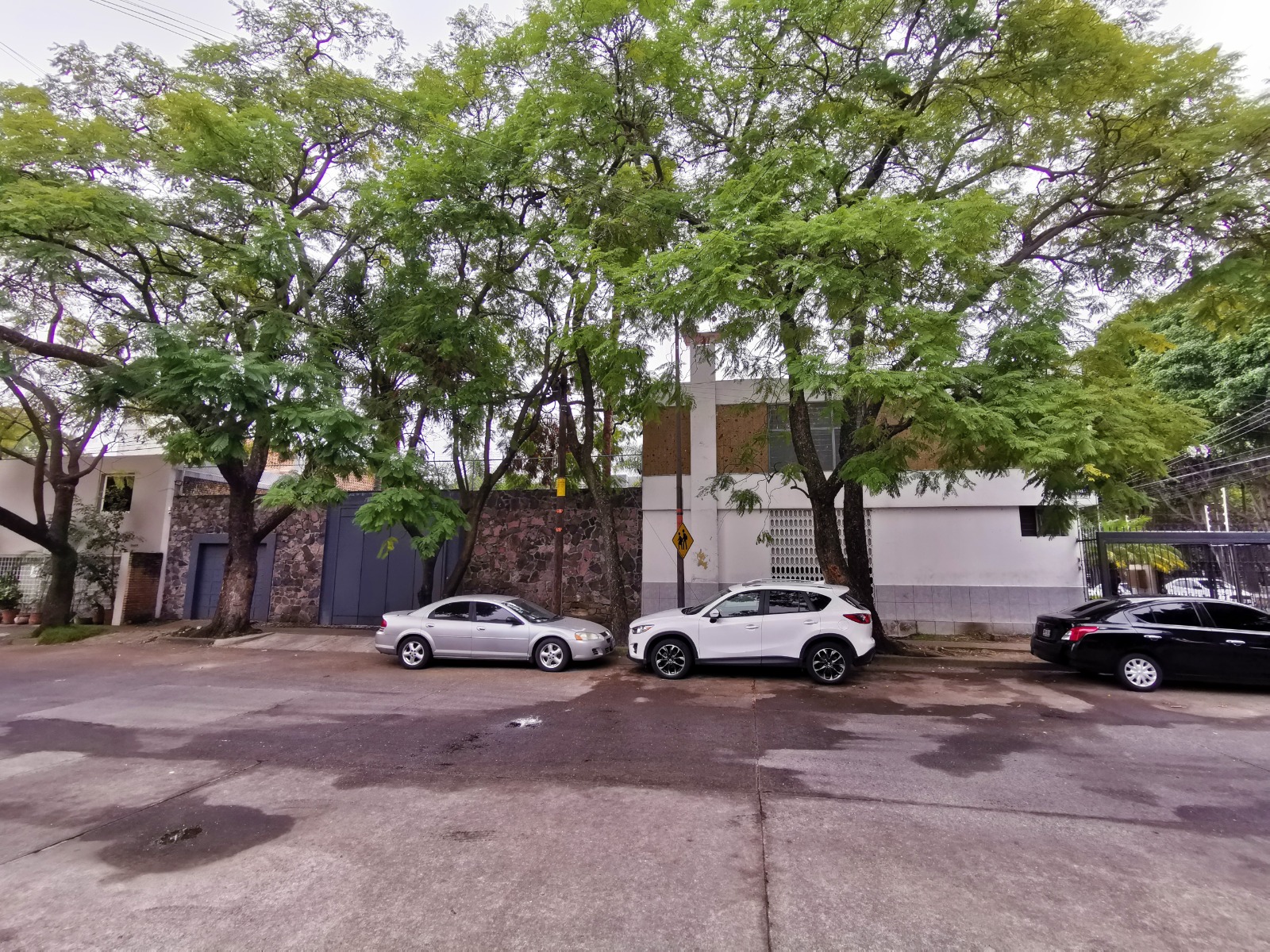 Oficina en Renta en Jardines del Bosque Norte, Guadalajara - foto 19 de 39