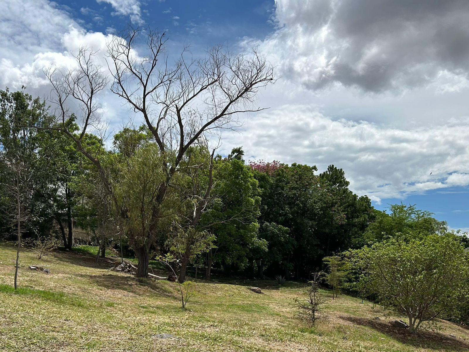 Terrenos en Venta  en Cortijo de San Agustin, Tlajomulco de Zúñiga - foto 25 de 34