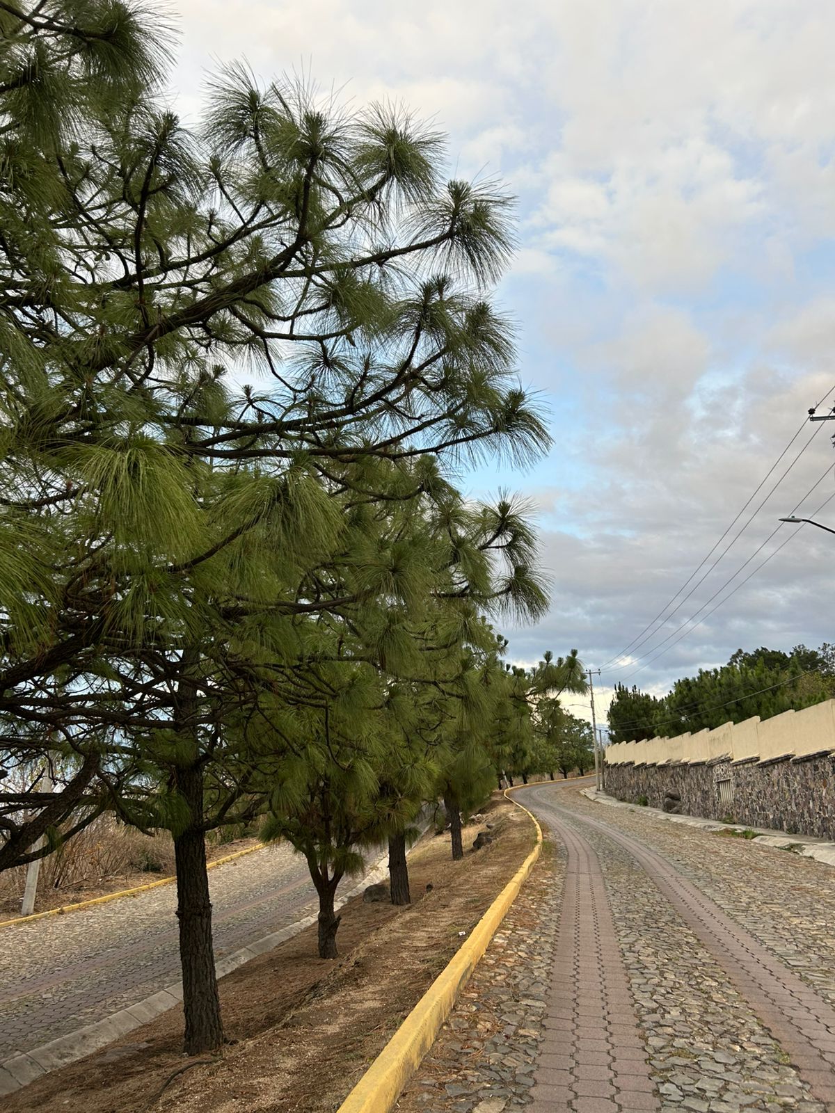 Terrenos en Venta  en Cortijo de San Agustin, Tlajomulco de Zúñiga - foto 11 de 34