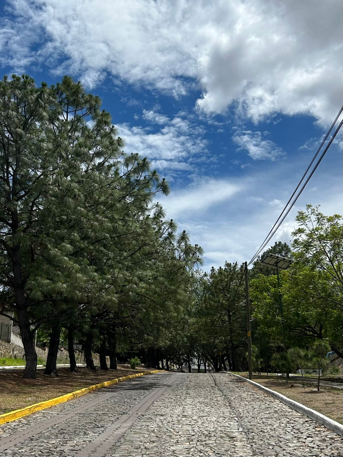 Terrenos en Venta  en Cortijo de San Agustin, Tlajomulco de Zúñiga - foto 19 de 34