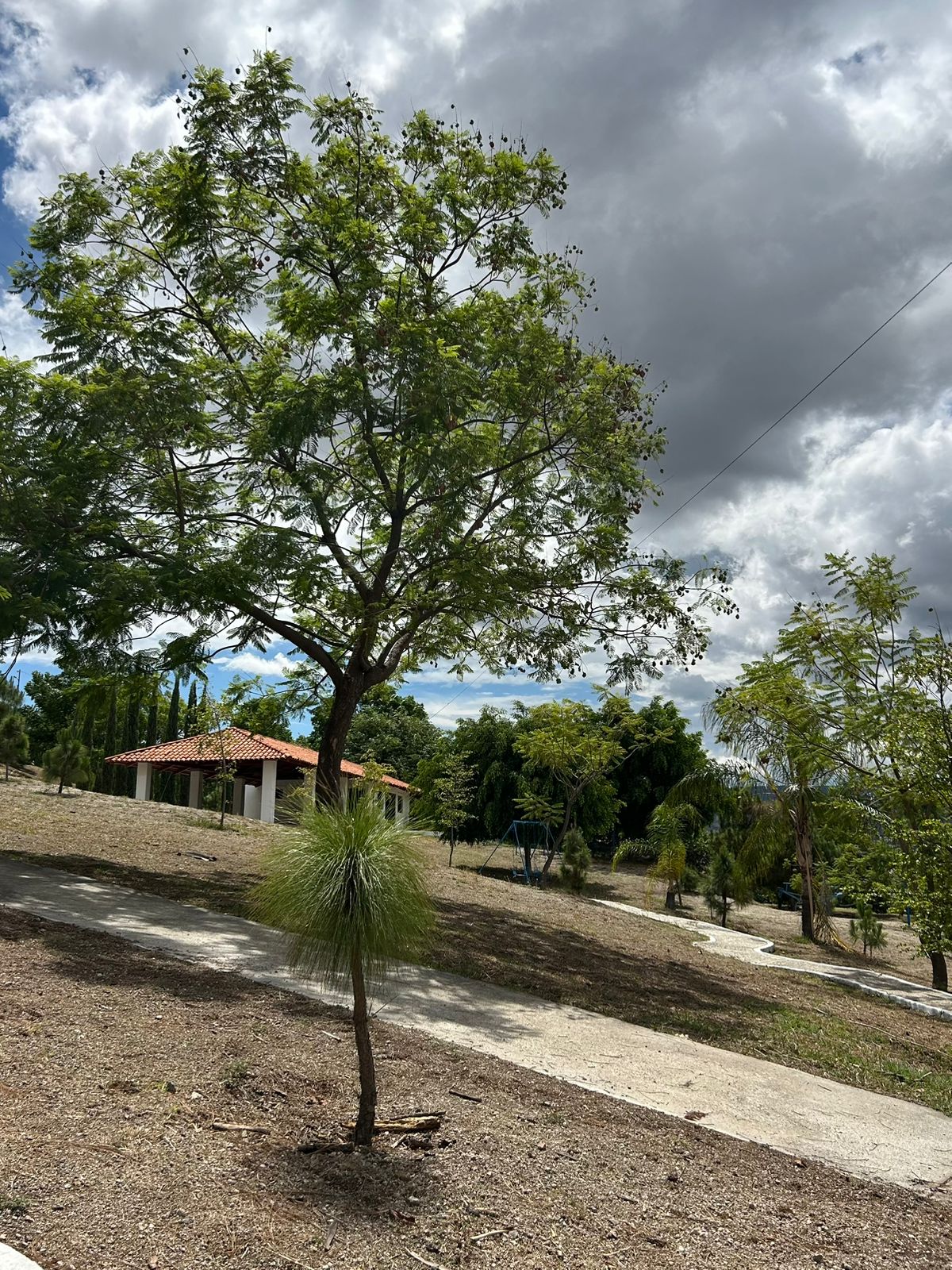 Terrenos en Venta  en Cortijo de San Agustin, Tlajomulco de Zúñiga - foto 17 de 34