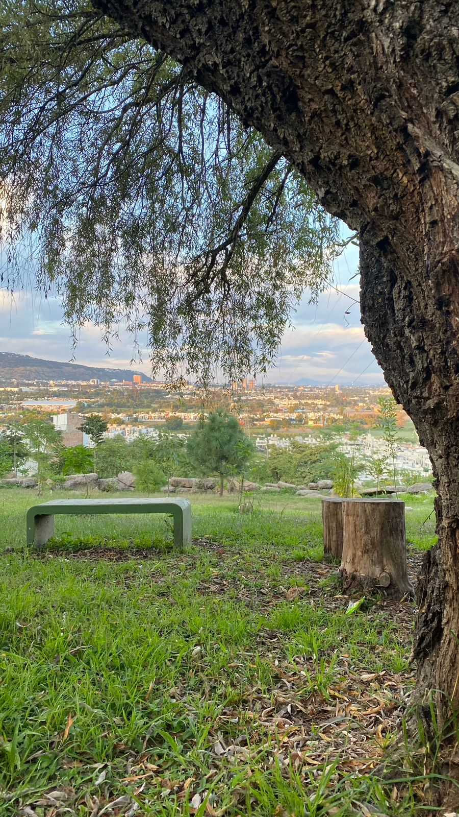 Terrenos en Venta  en Cortijo de San Agustin, Tlajomulco de Zúñiga - foto 29 de 34