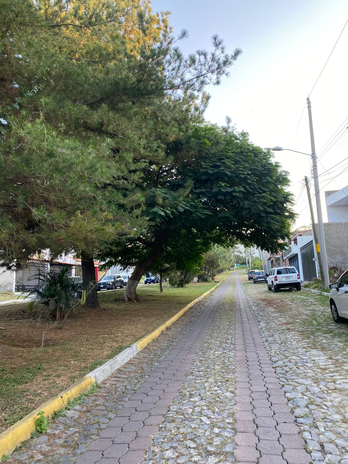 Terrenos en Venta  en Cortijo de San Agustin, Tlajomulco de Zúñiga - foto 32 de 34