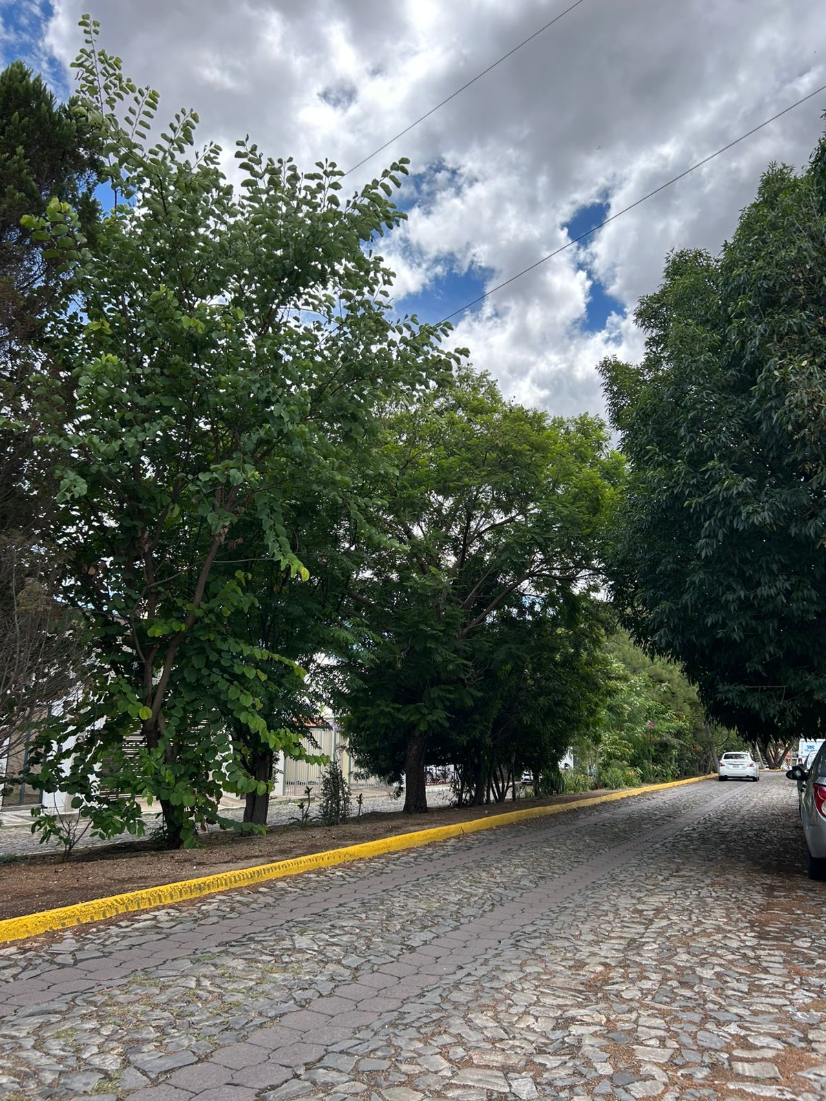 Terrenos en Venta  en Cortijo de San Agustin, Tlajomulco de Zúñiga - foto 30 de 34