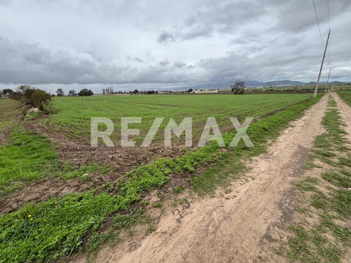LAND FOR SALE IN CHIMALPA TLALAYOTE, APAN HIDALGO.