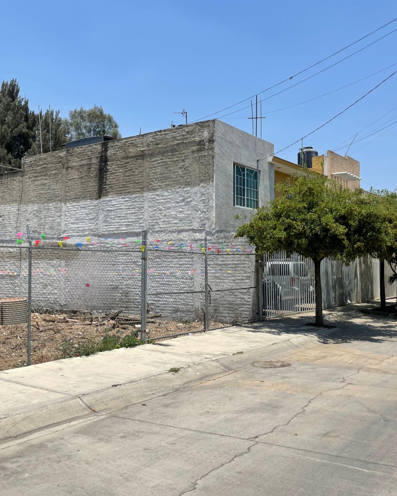 Terreno en Venta  en Benito Juárez, Zapotlán el Grande - foto 3 de 6