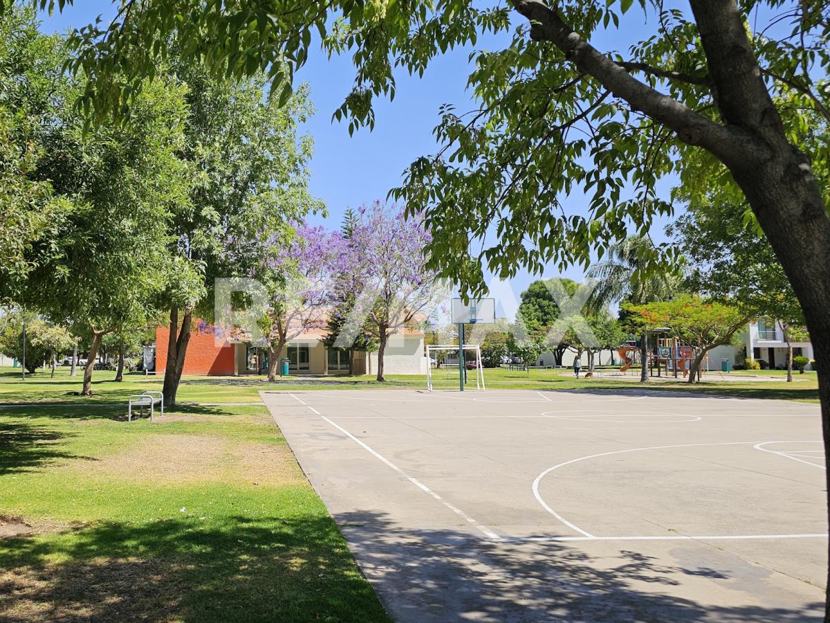 Imagen secundaria