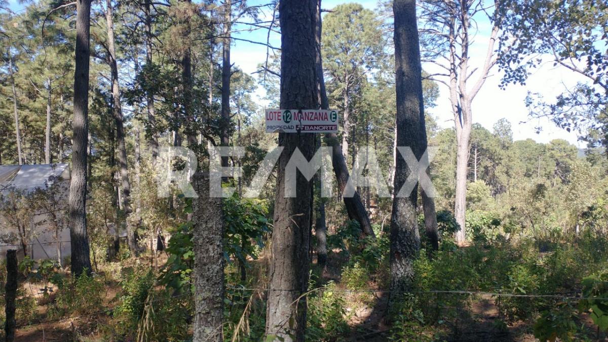 Terreno en Venta