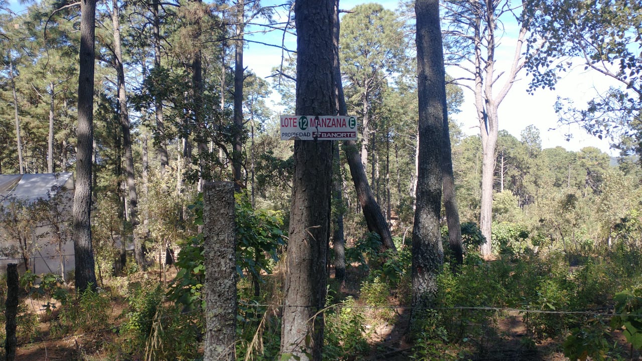 Terreno en Venta en Tapalpa, Tapalpa - foto 4 de 12