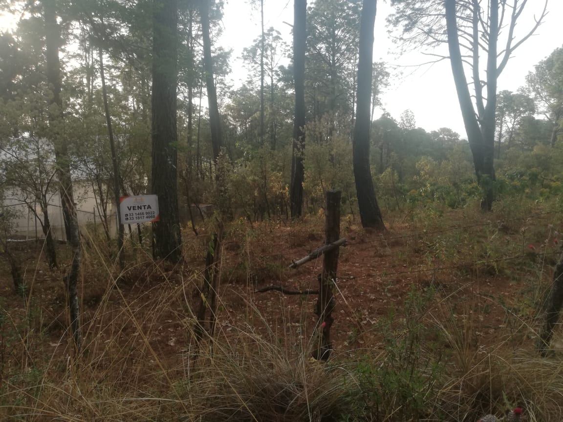 Terreno en Venta en Tapalpa, Tapalpa - foto 2 de 12