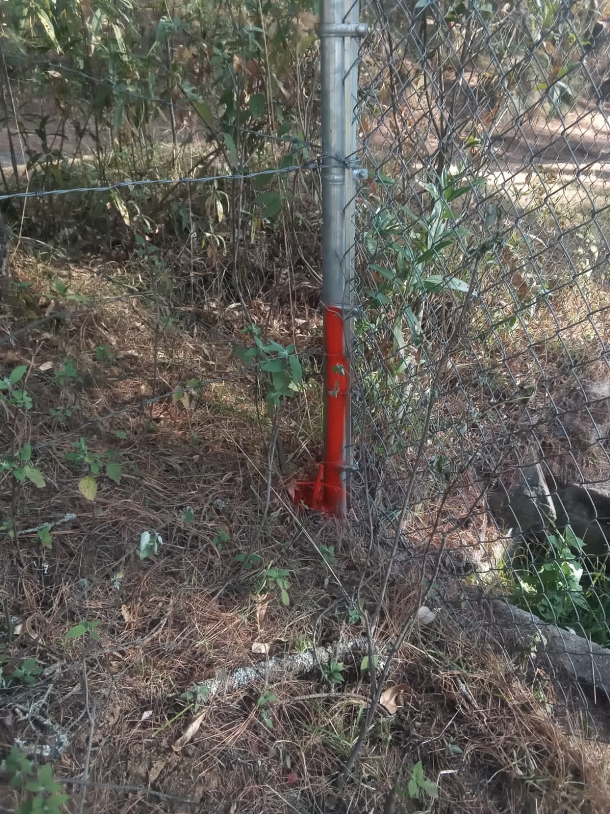 Terreno en Venta en Tapalpa, Tapalpa - foto 5 de 12