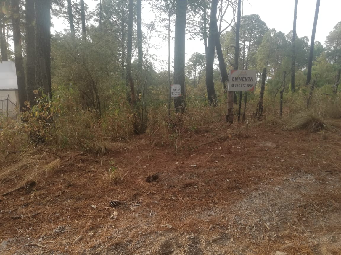 Terreno en Venta en Tapalpa, Tapalpa - foto 12 de 12
