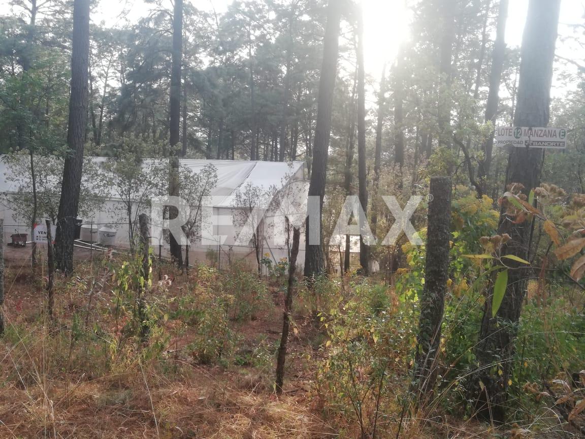 Terreno en Venta
