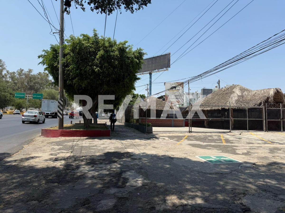 Local en Renta