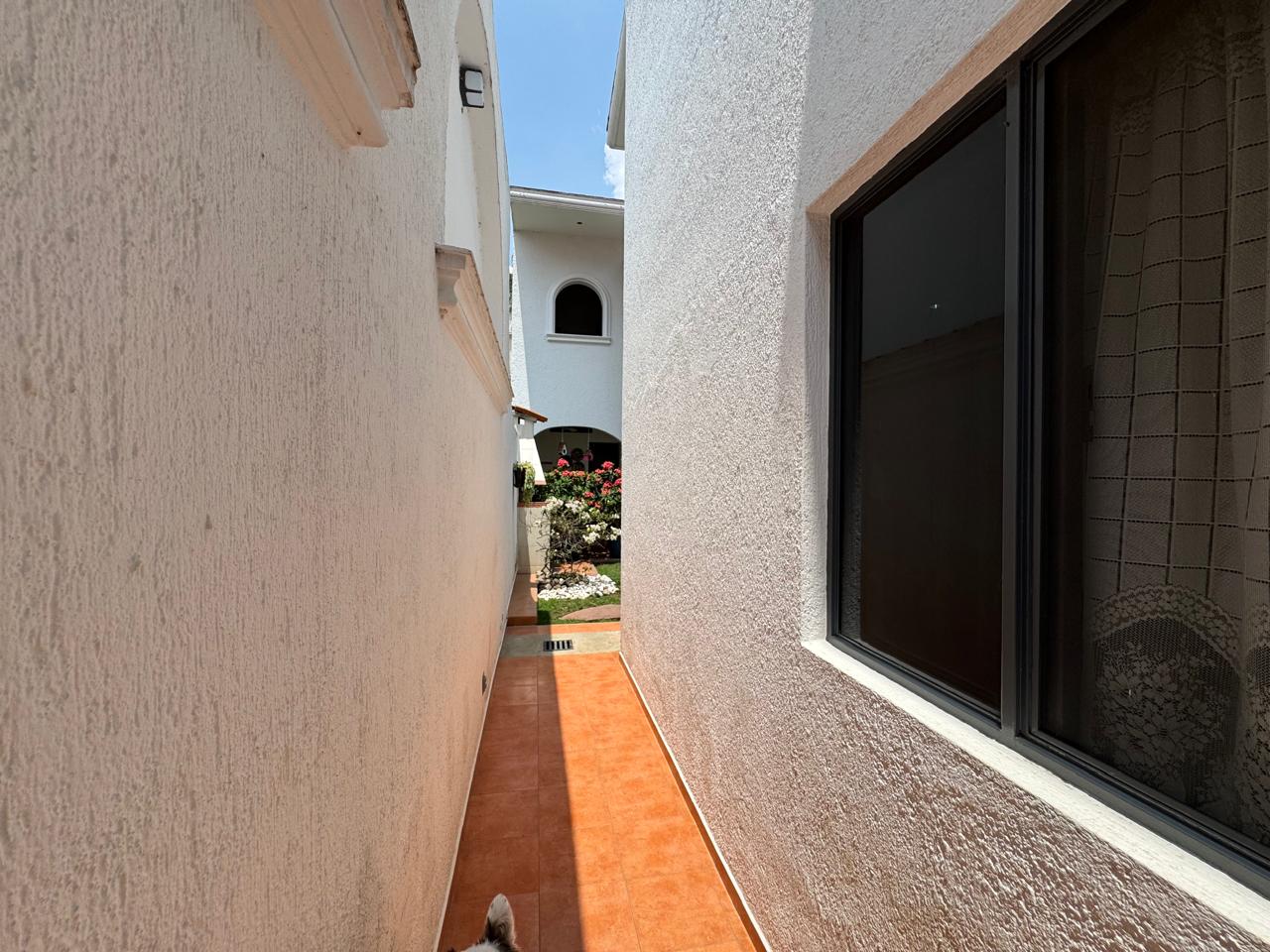 Casa en Venta Bugambilias  en Bugambilias, Zapopan - foto 18 de 41