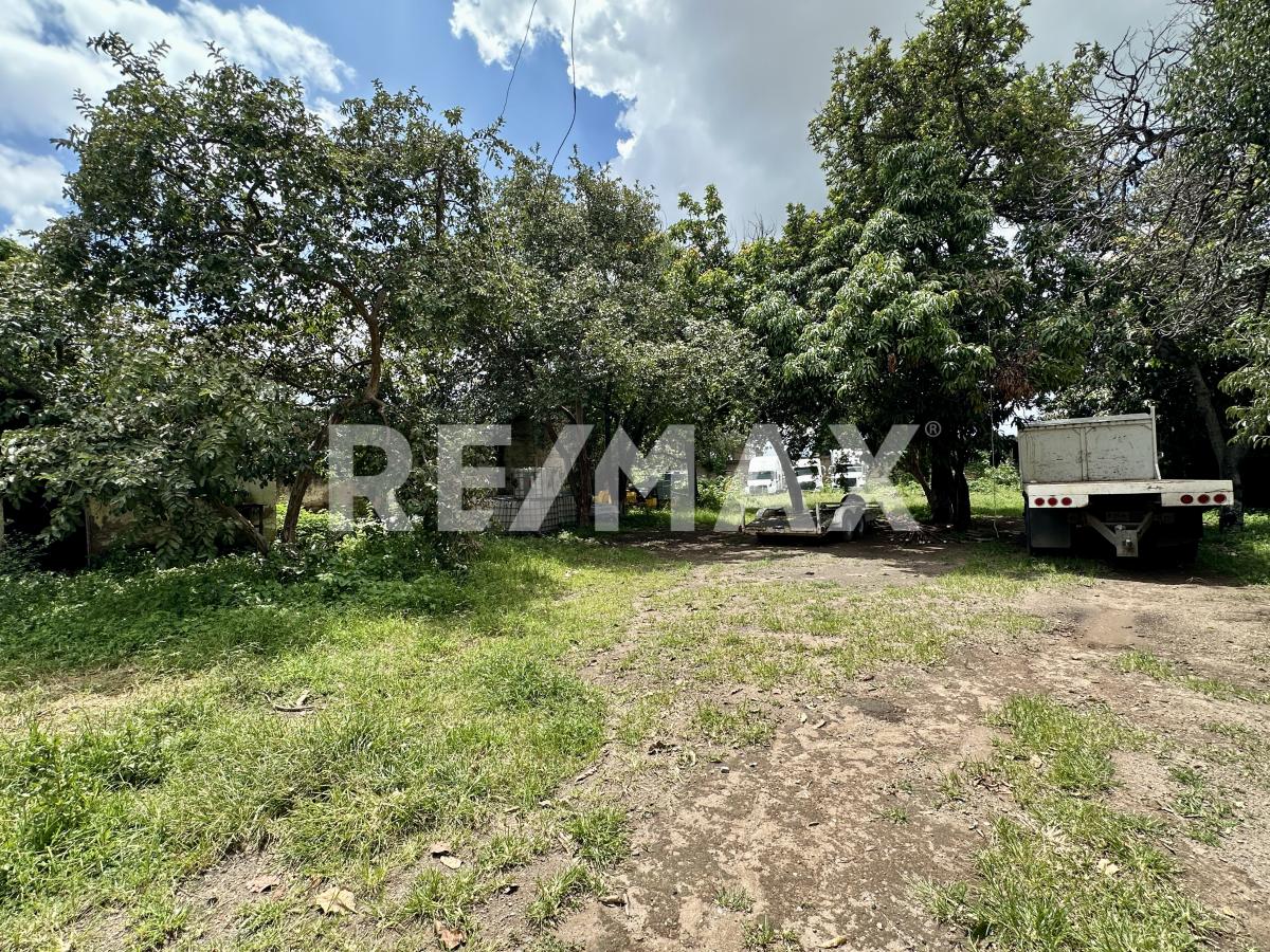 Terreno Ideal Para Desarrollar en Santa Maria Tequepexpan, San Pedro Tlaquepaque en Santa María Tequepexpan, San Pedro Tlaquepaque - foto 14 de 18